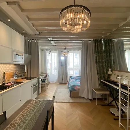Cosy A Saint Michel-notre Dame Center Apartamento